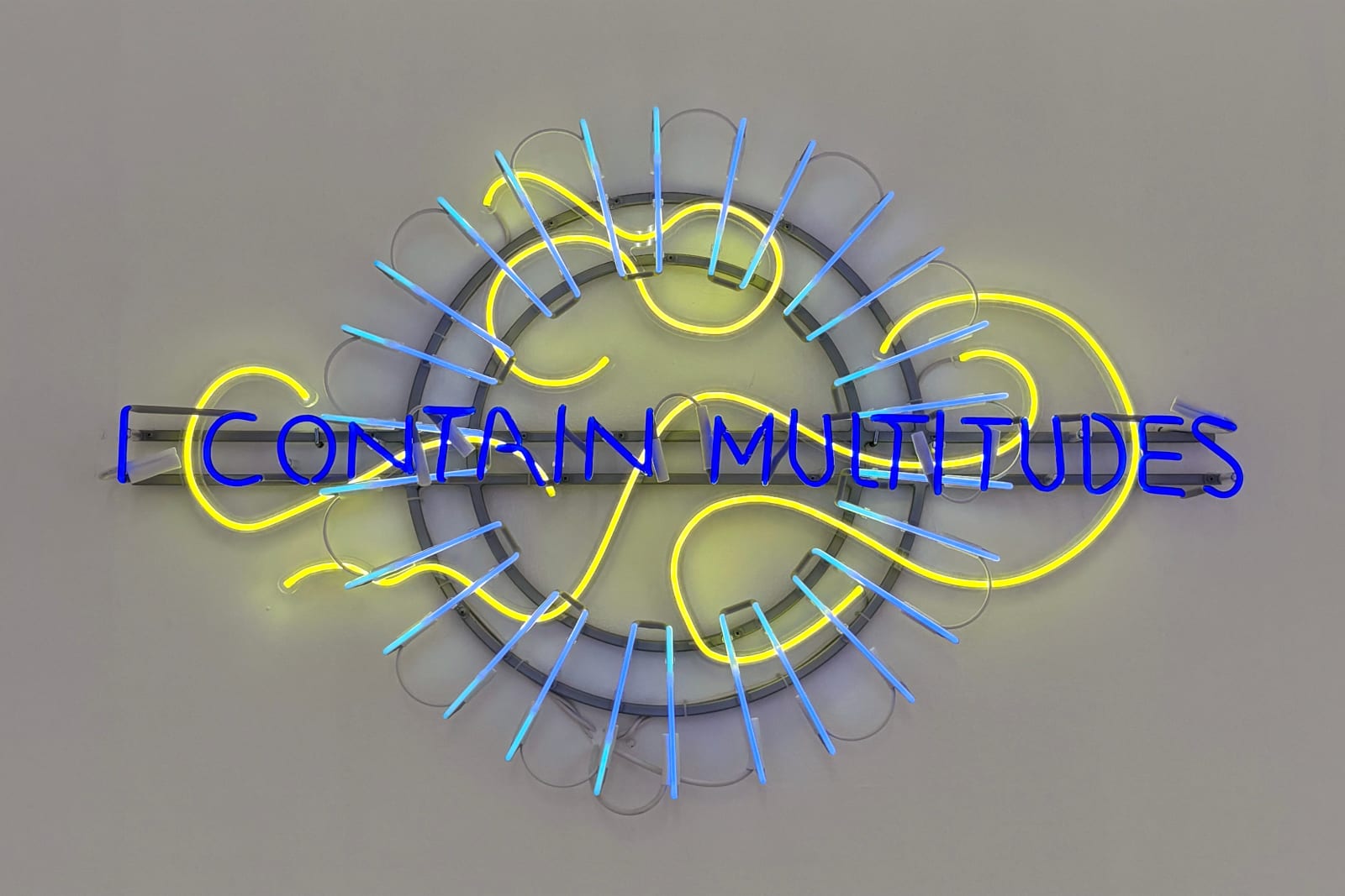 Marinella Senatore, I Contain Multitudes, 2022