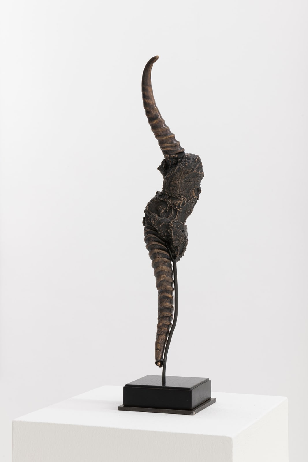 Kendell Geers, Vajra XVIII, 2012