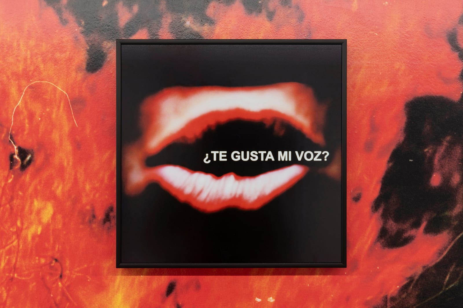 Hac Vinent, ¿Te gusta mi voz?, 2023