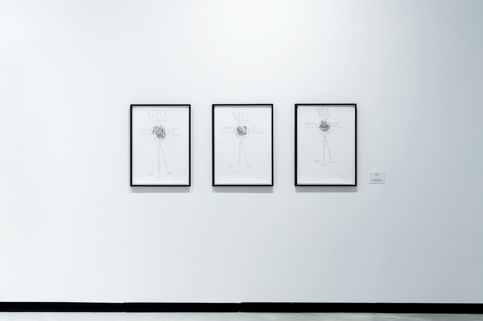 Margaret Harrison, Singing Roses. Fists and roses, 2012