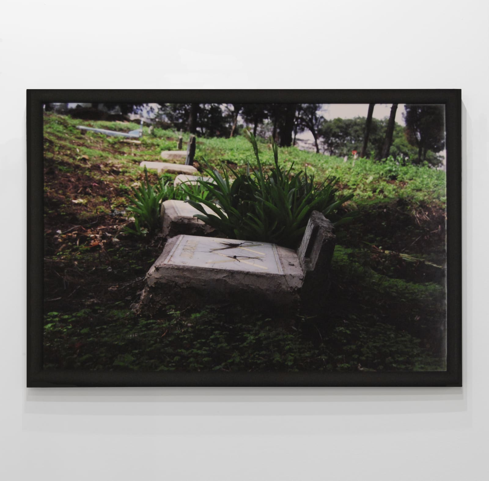 Regina José Galindo, XX Project, 2007