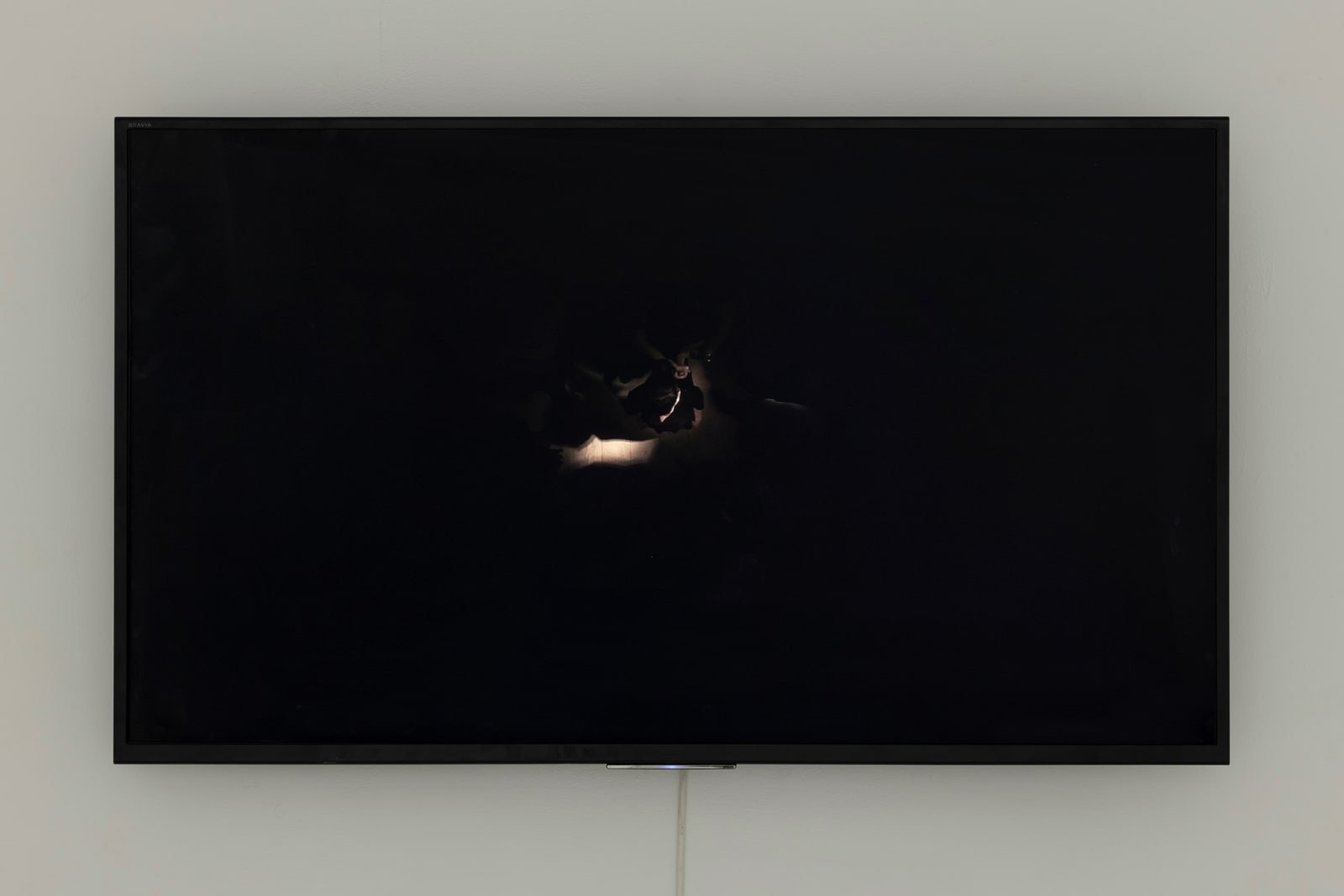 Regina José Galindo, La manada, 2018