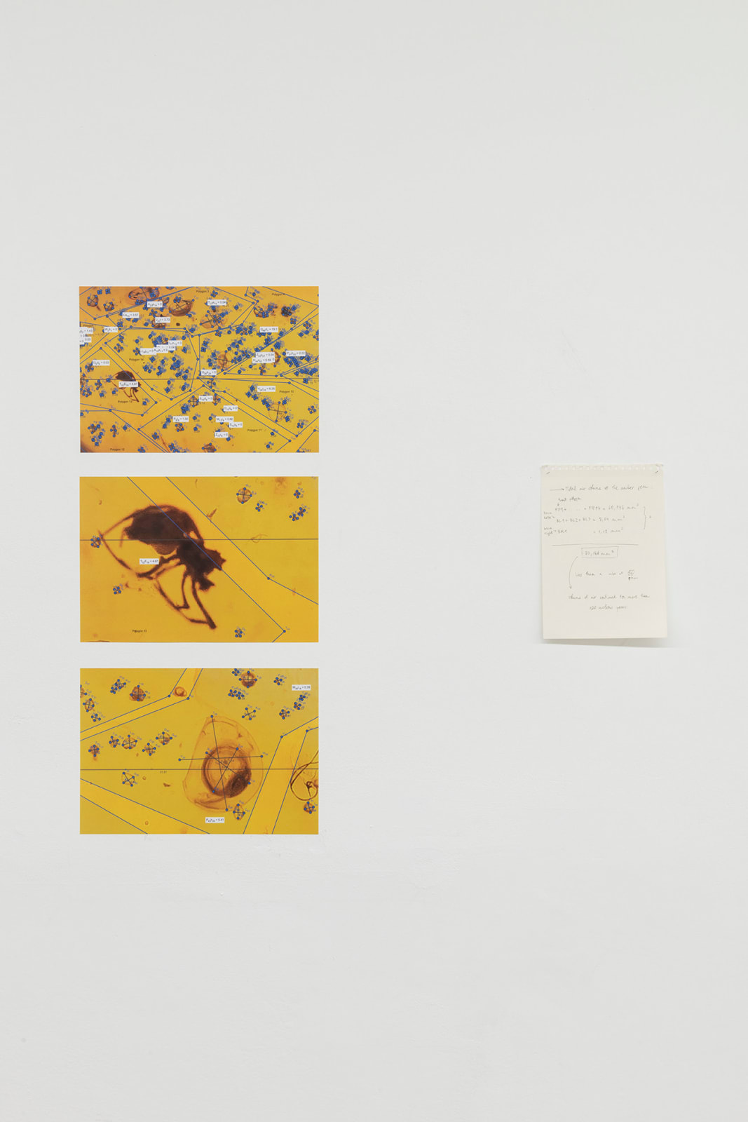 Pep Vidal, Very Ancient Air, 2022