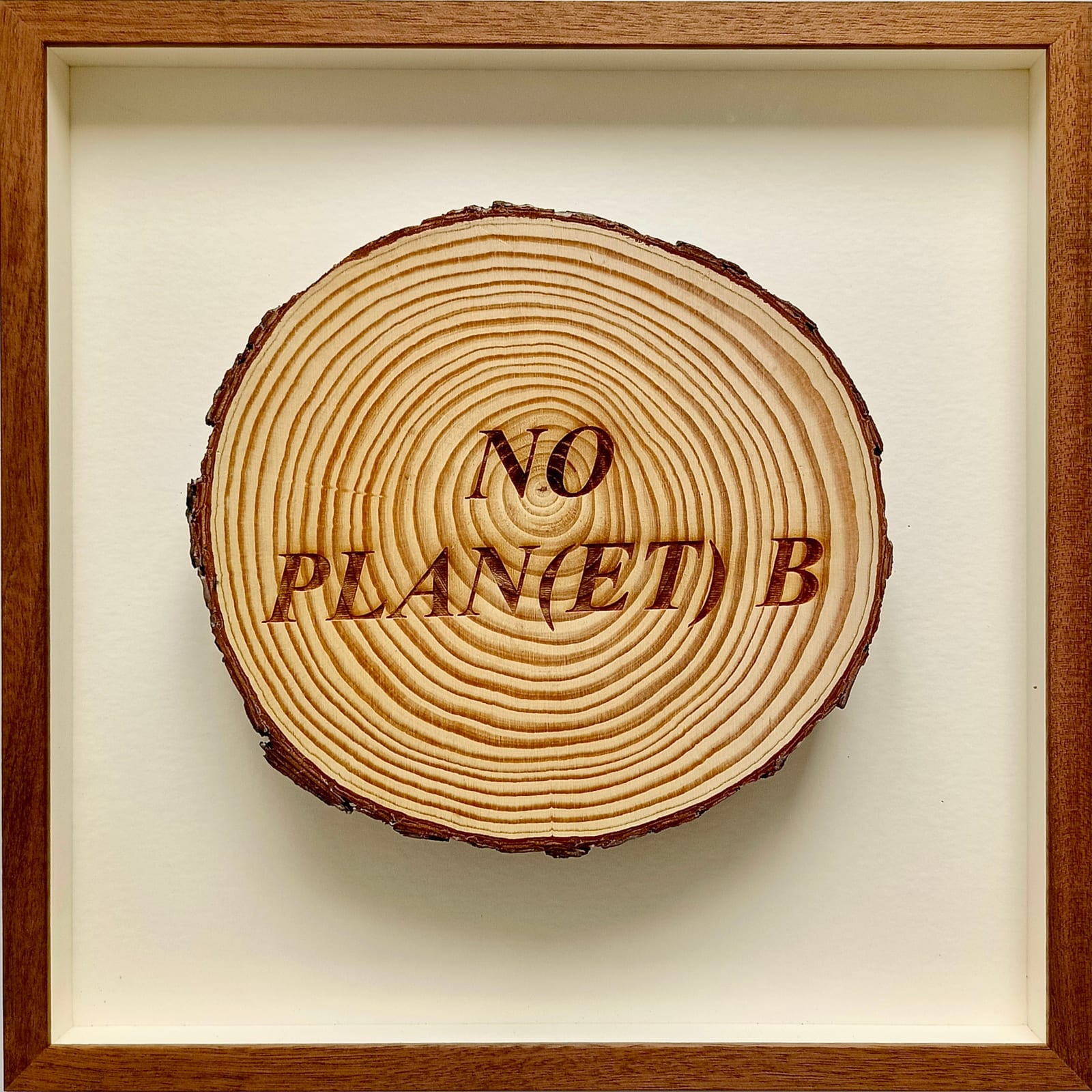 Avelino Sala, Sueño de nadie. No plan(et) B, 2024