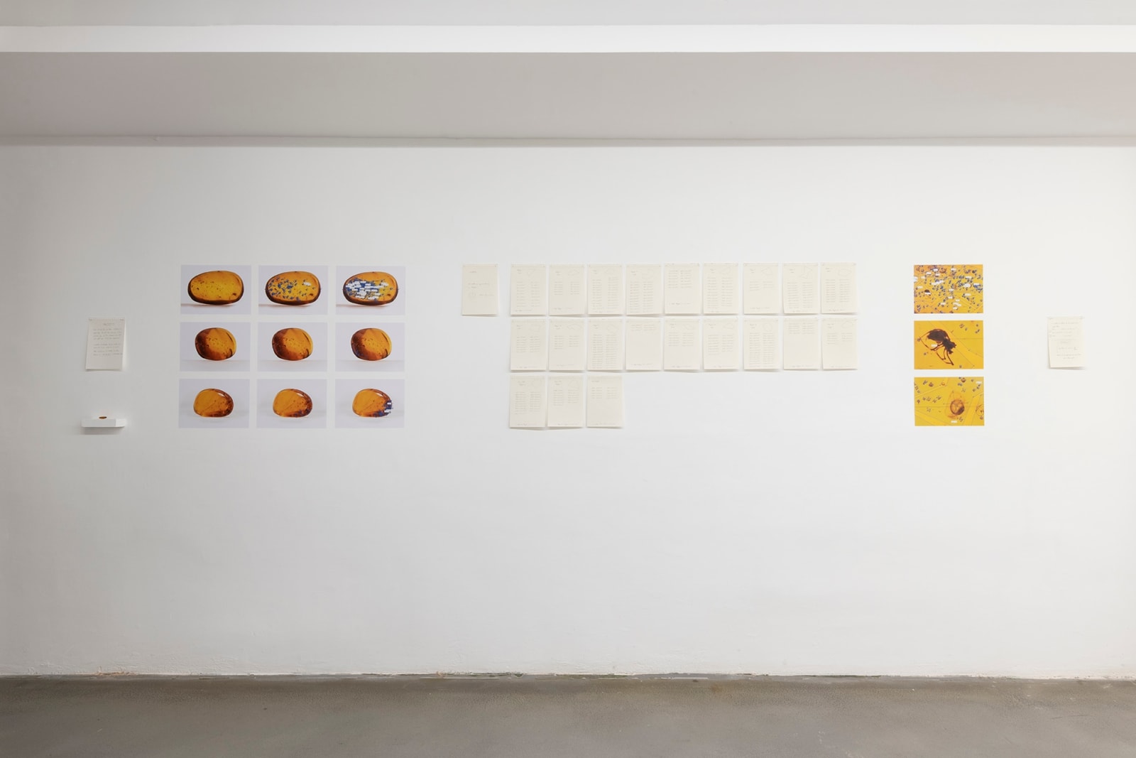 Pep Vidal, Very Ancient Air, 2022