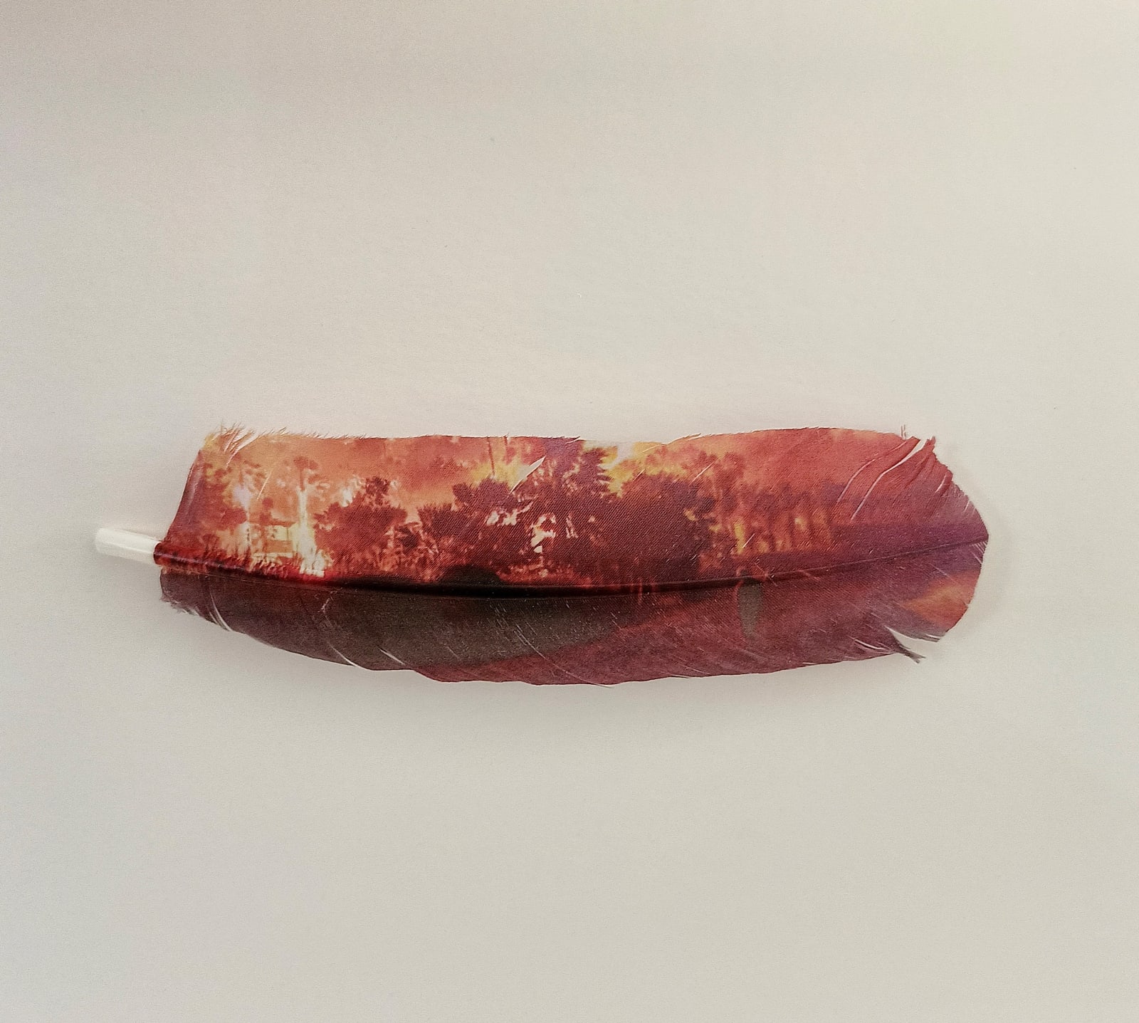 Avelino Sala, L.A. Drama (FIRE), 2024
