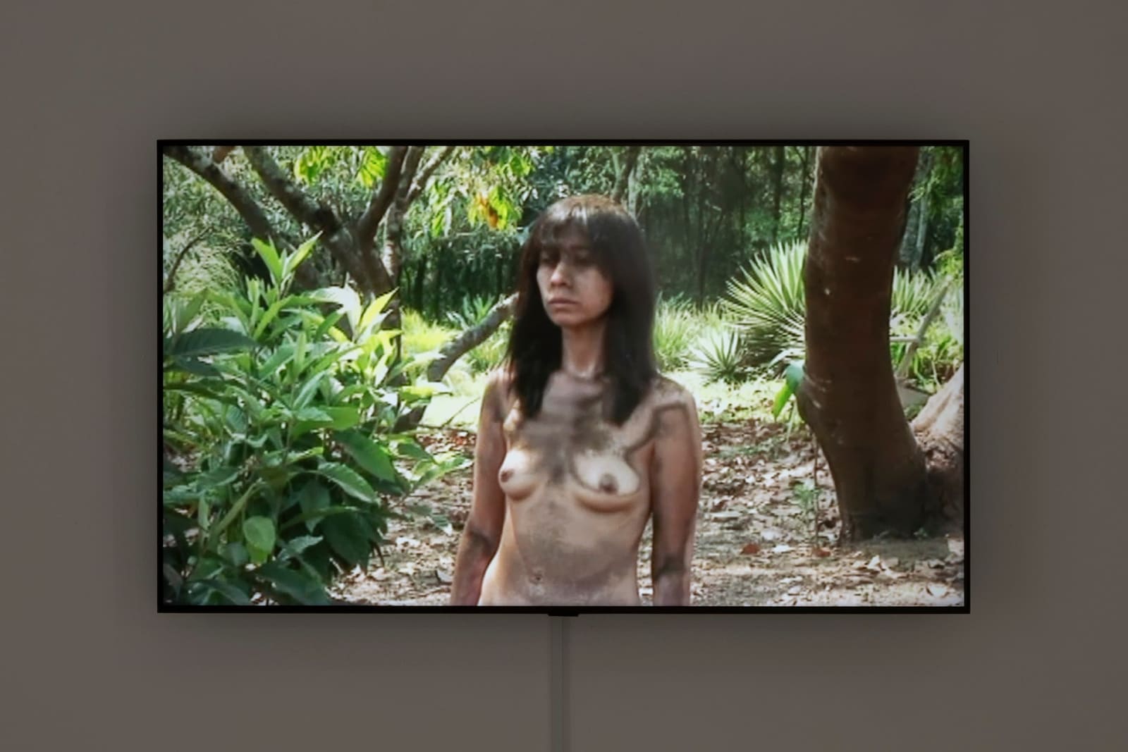 Regina José Galindo, Paisaje, 2012