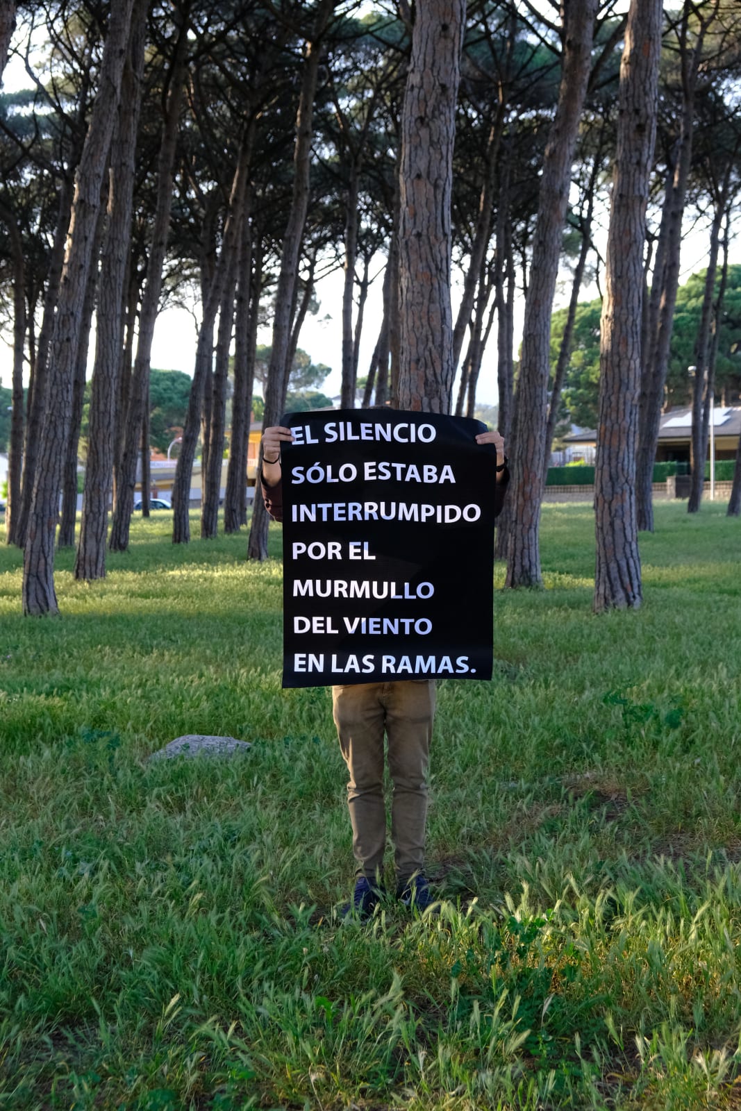 Laura Llaneli, Ruido. La vuelta al mundo, 2022