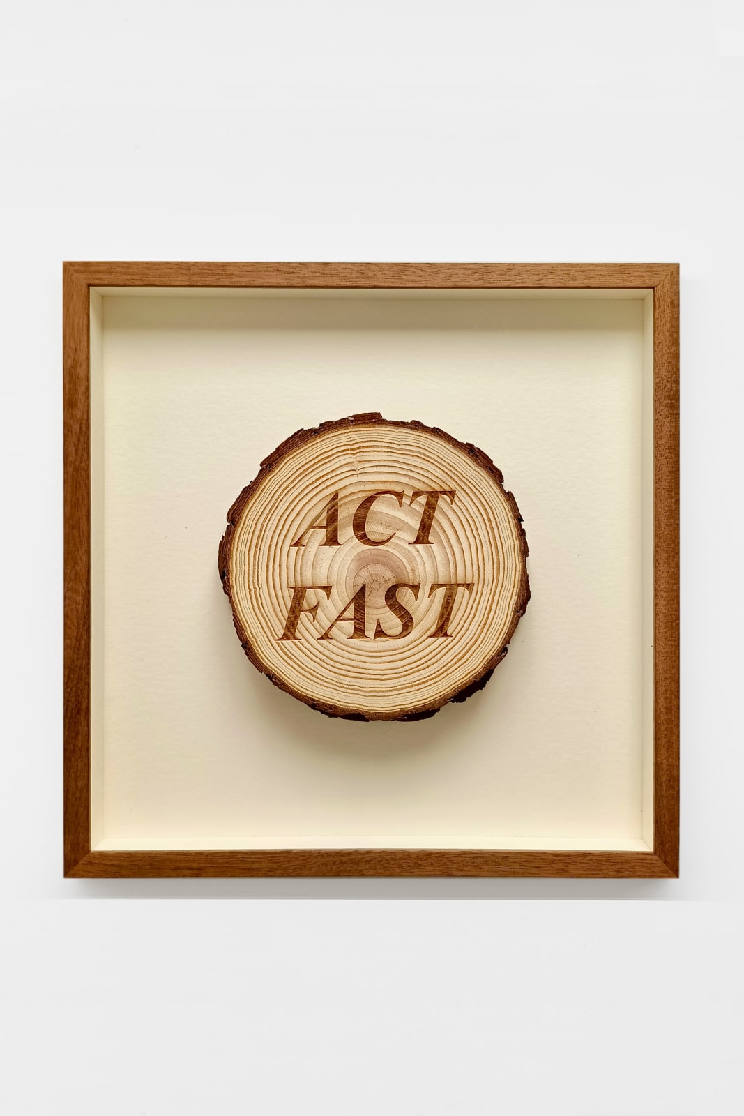 Avelino Sala, Sueño de nadie. Act fast, 2024