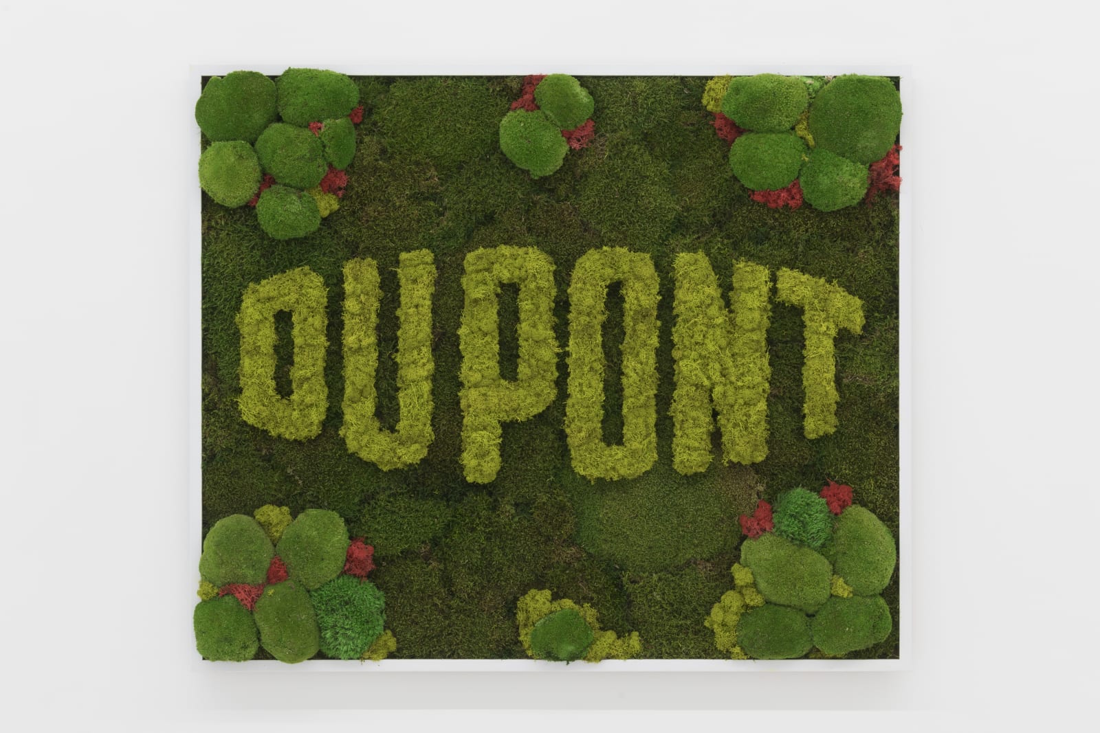 Avelino Sala, Naturas Mortas 2 (DUPONT), 2020