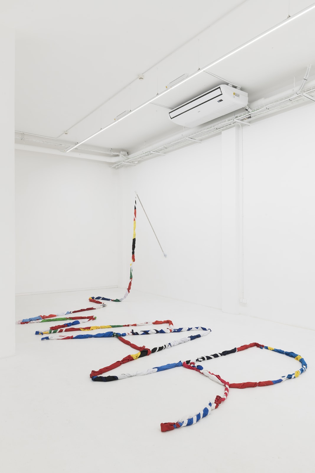 Avelino Sala, Beyond Flags, 2021