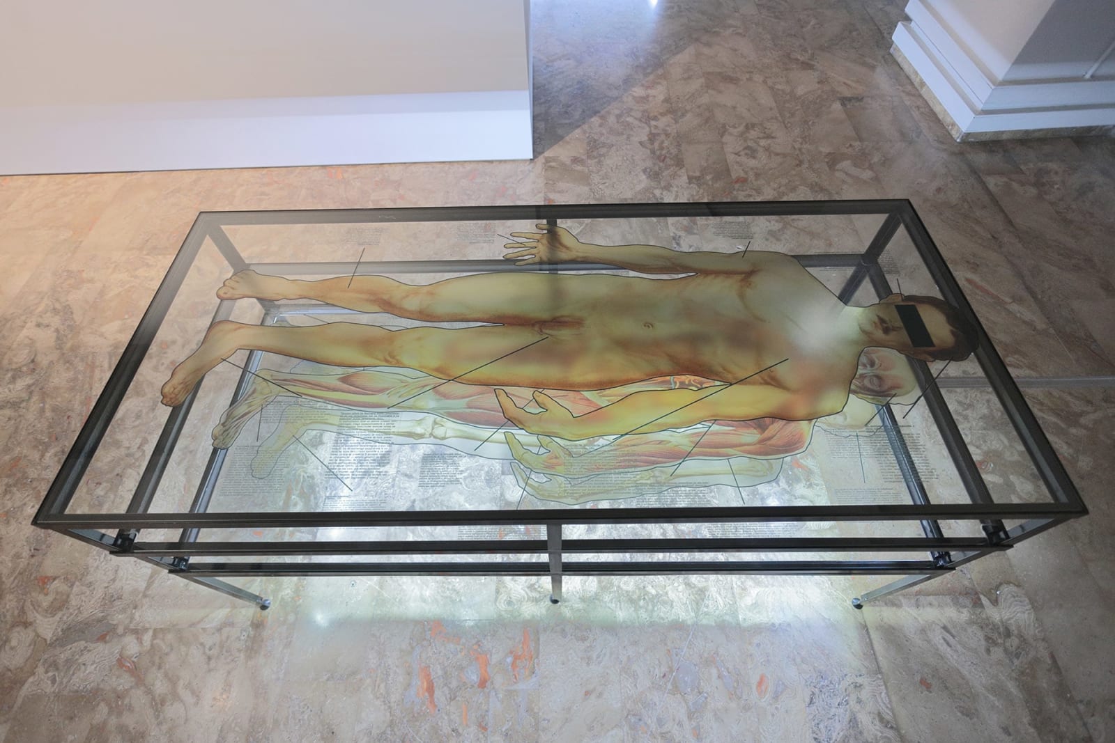 Daniel Gasol, Principios y valores de la anatomía homosexual, 2024 - 2025