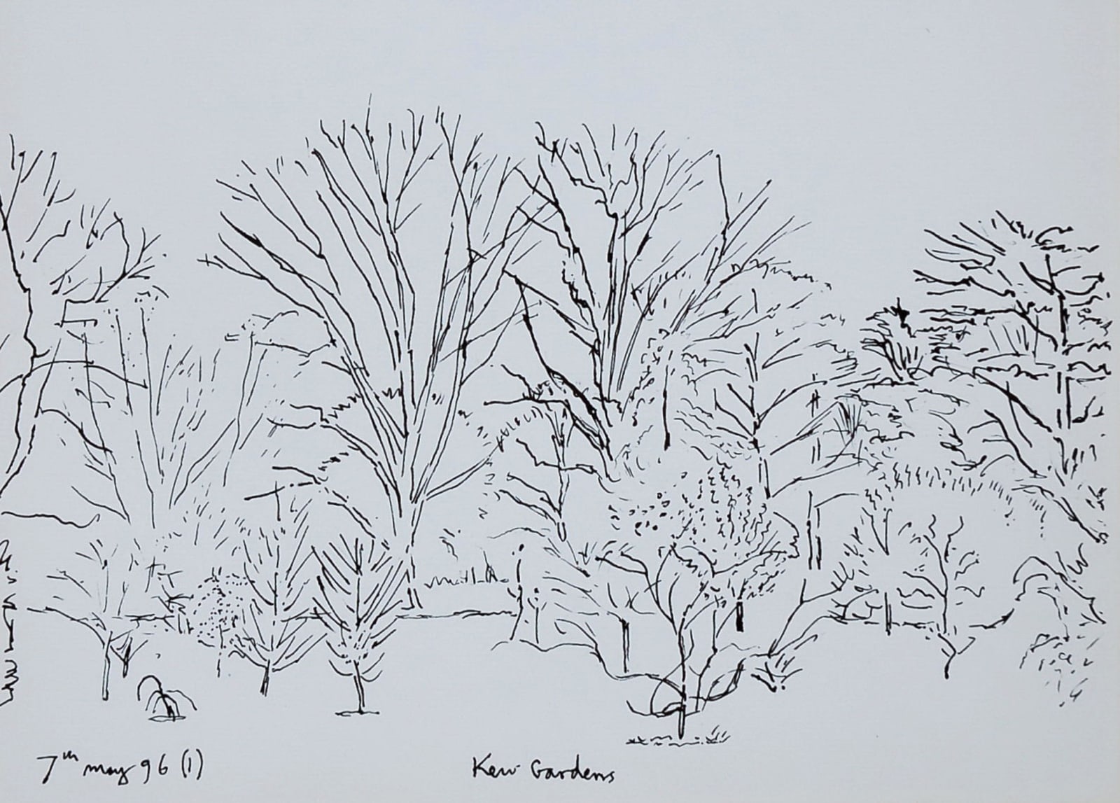 Adrian Berg, Kew Gardens 7th May, 1996