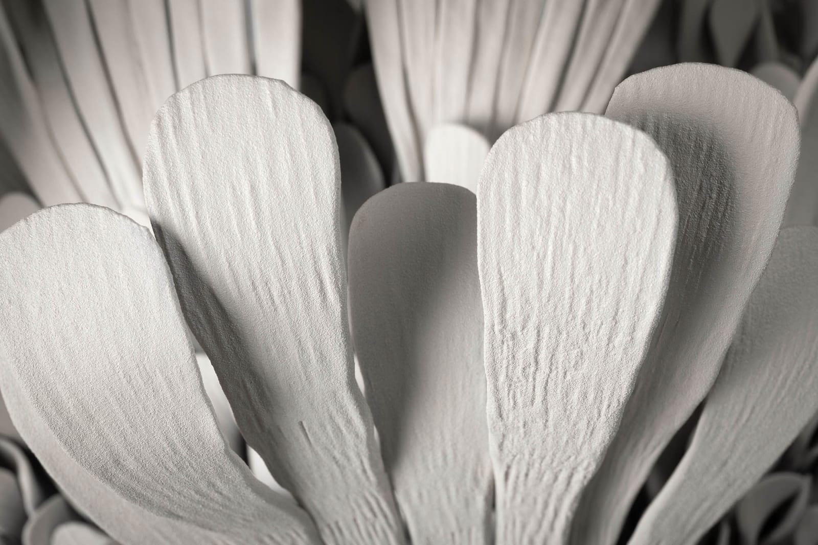 Junko Mori, Floating Chandelier; Pistia, 2024