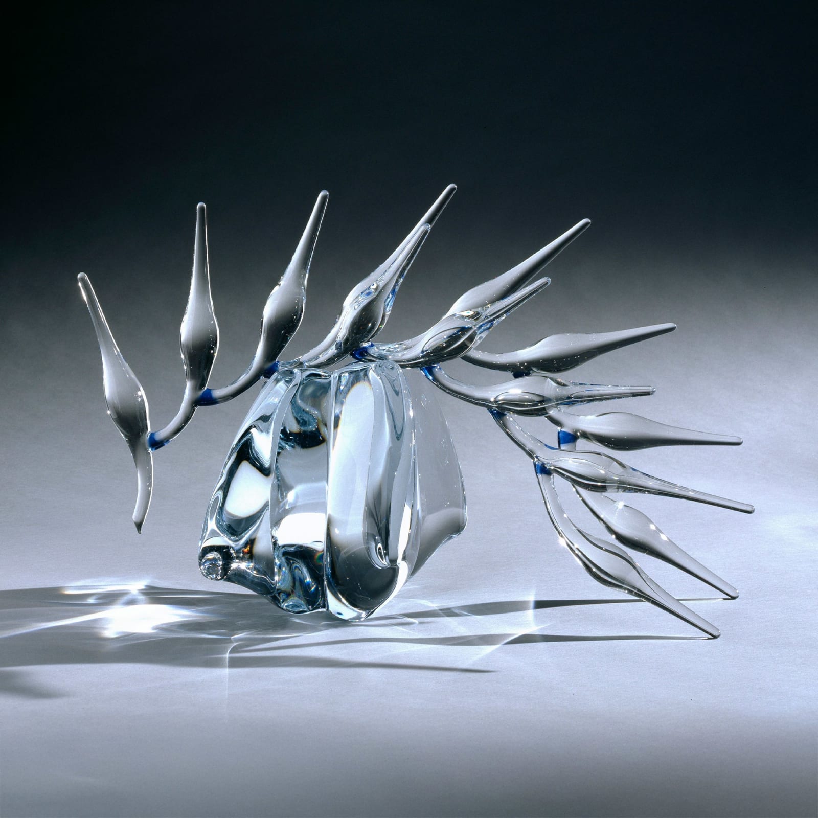 Neil Wilkin, Blue Heliconia, 2007