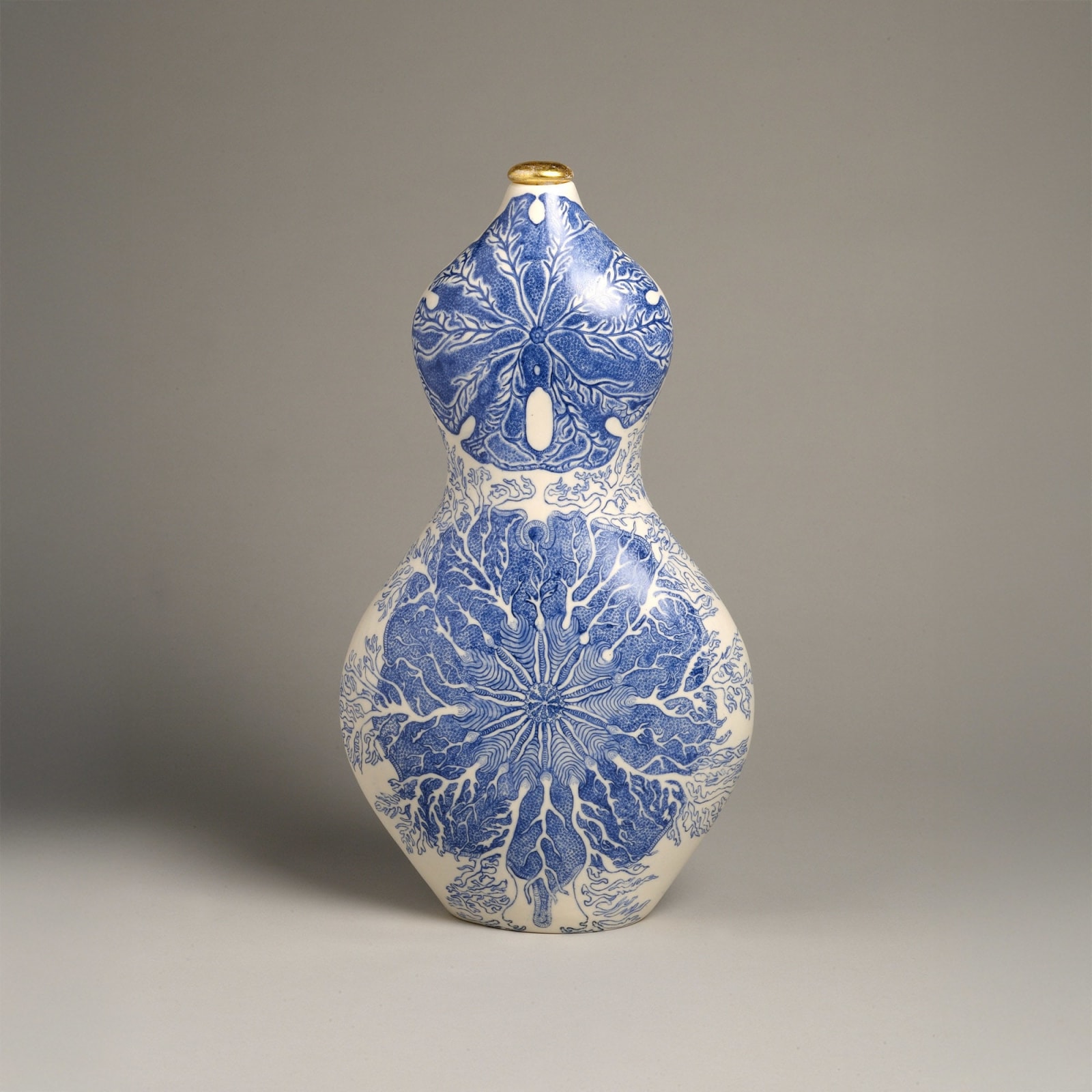 Robin Best, Imagining Haeckel, 2008