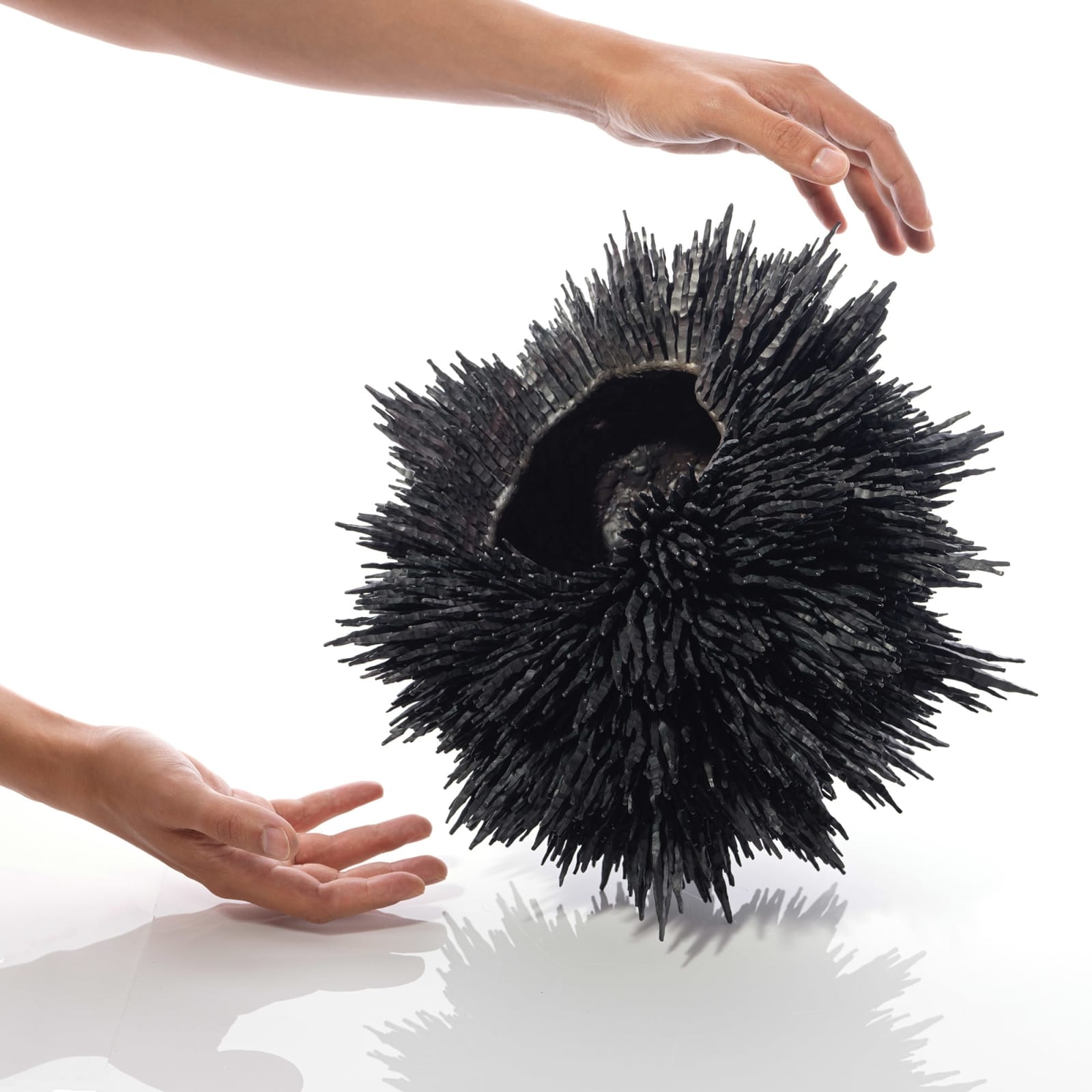 Junko Mori, Propagation Project: Textured Spike Pinecones, 2025