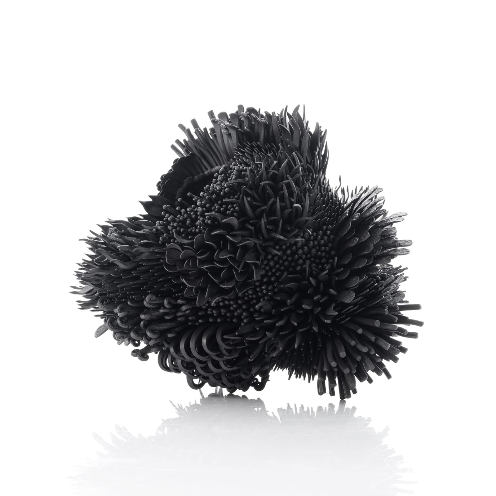 Junko Mori, Propagation Project: Haiku, 2025