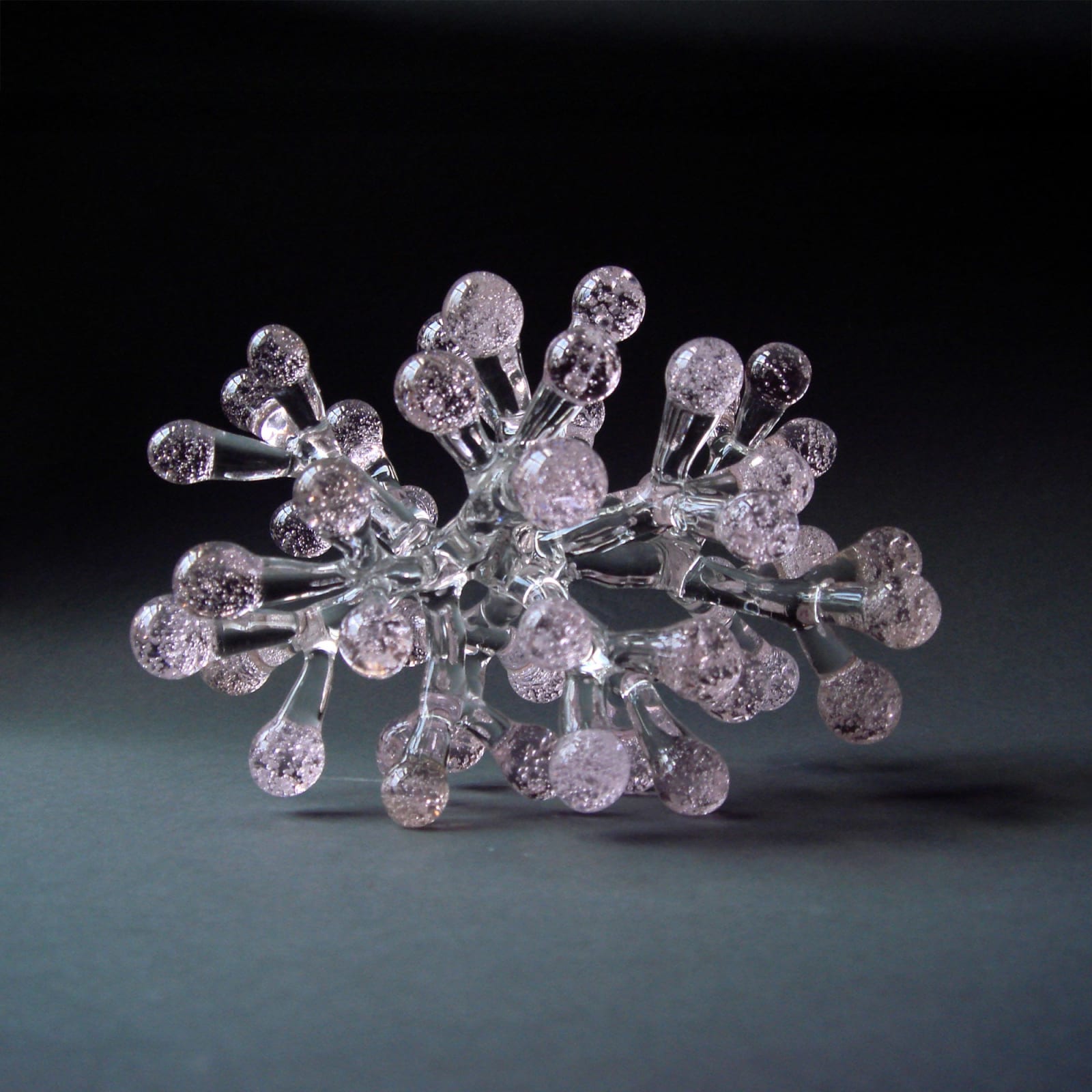 Neil Wilkin, Champagne Coral, 2006