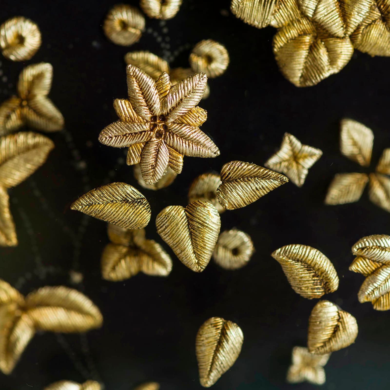 Sophie Coryndon, Nocturnus, 2024