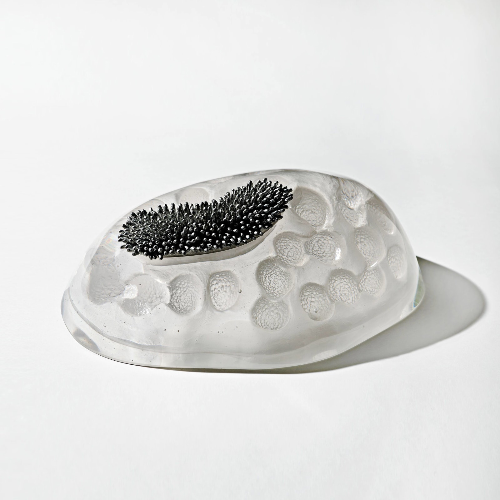 Angela Jarman, Osseous I, 2013