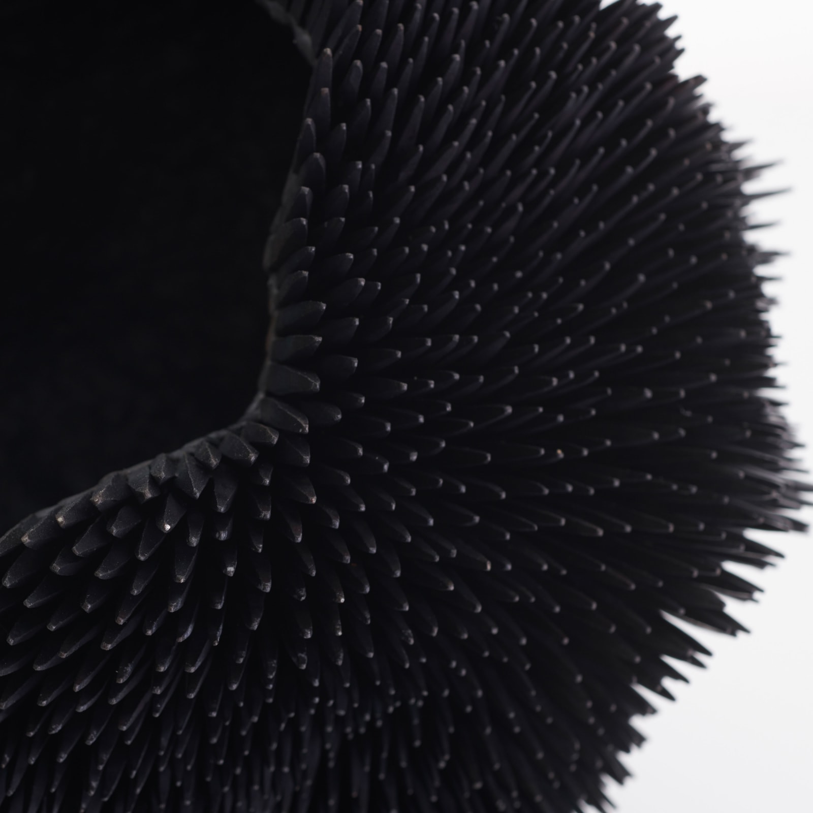 Junko Mori, Propagation Project; Straight Spikes, 2019