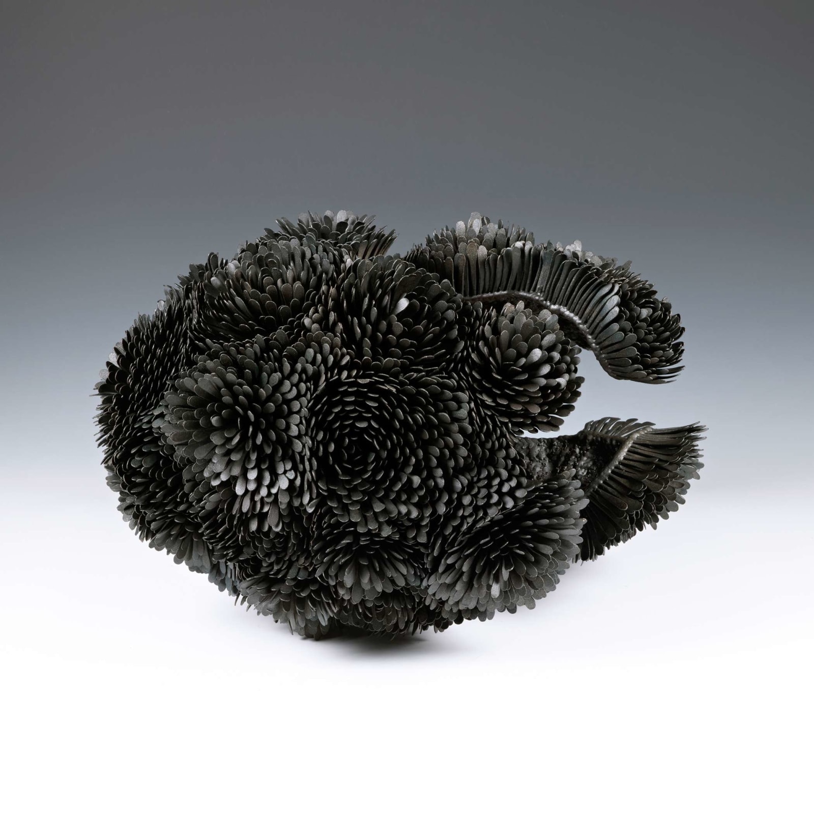 Junko Mori, Propagation Project; Multiple Rosularia, 2012