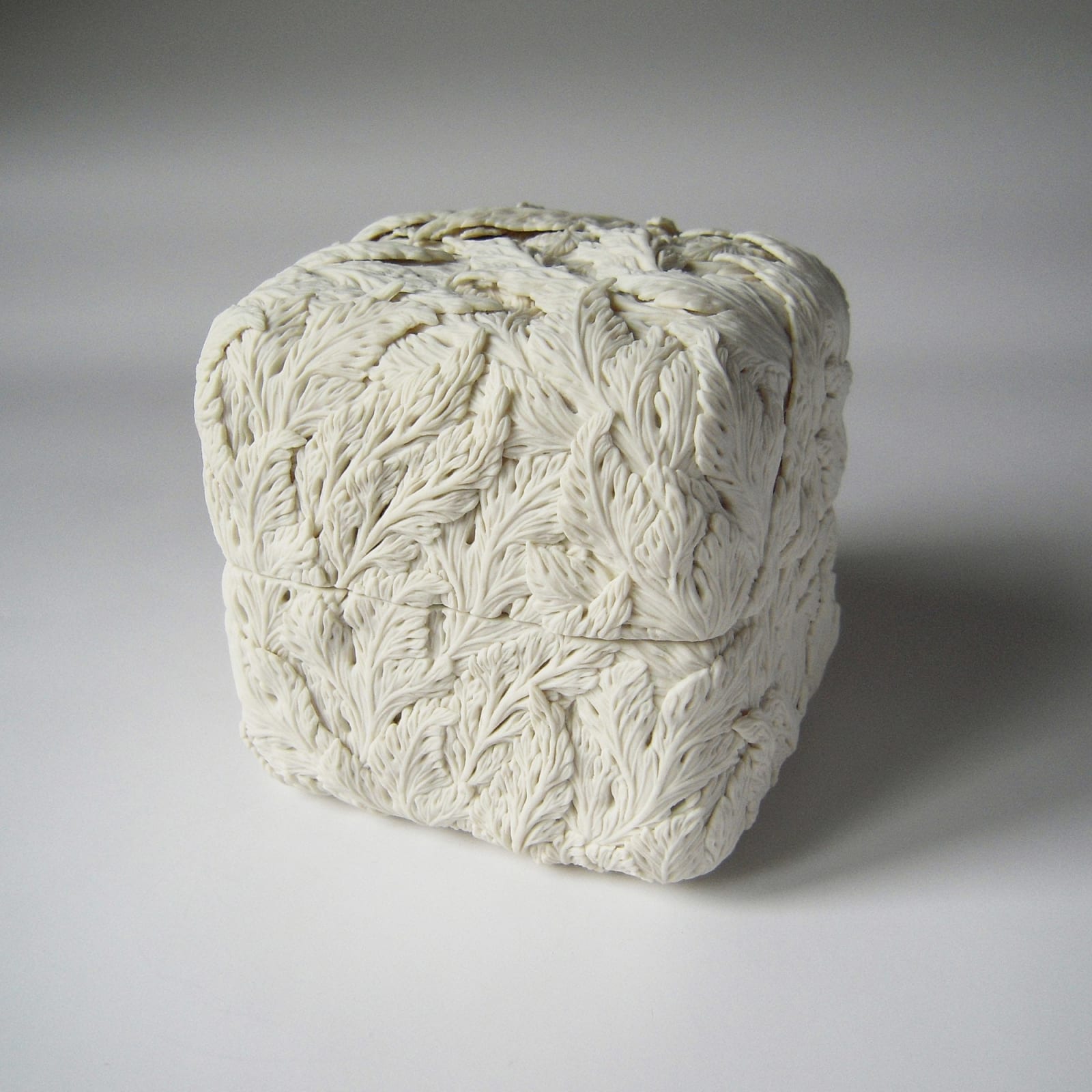 Hitomi Hosono, Large Leaves Box, 2009