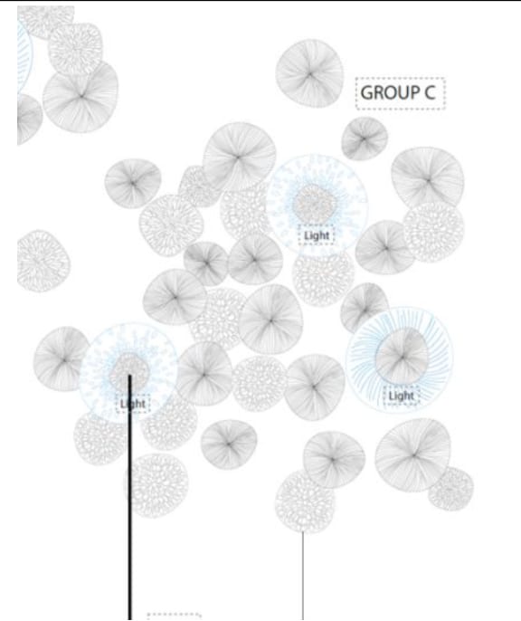 Vezzini and Chen, Wildflower Meadow III, 2025
