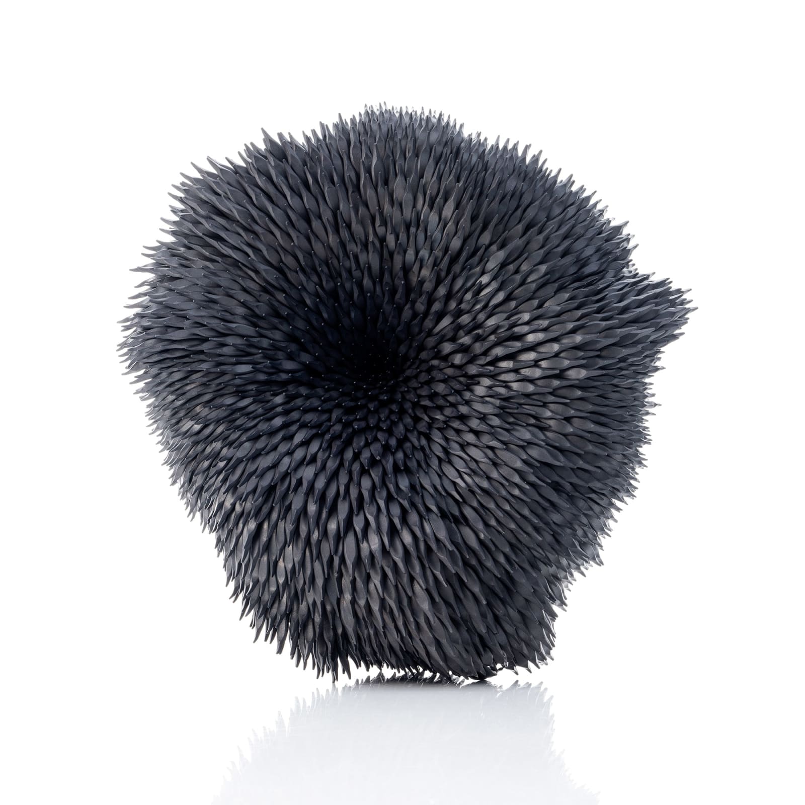 Junko Mori, Propagation Project: Fungi, 2025