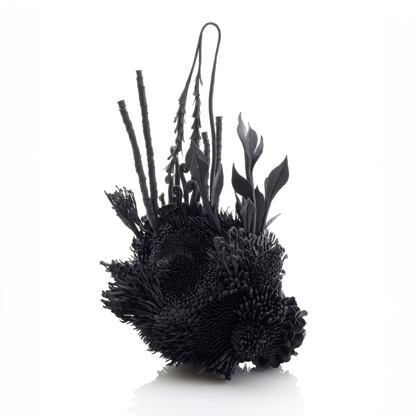 Junko Mori, Propagation Project; Botany, 2024