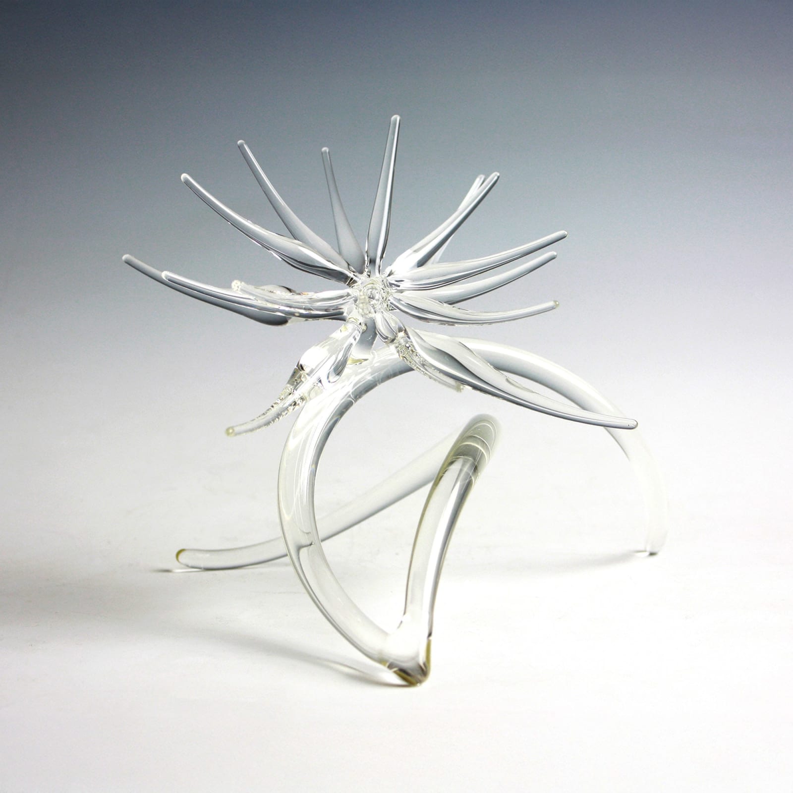 Neil Wilkin, Clematis Series II, 2011