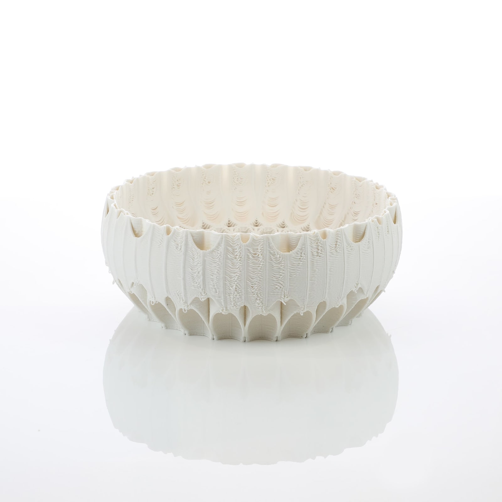 Nico Conti, Filigree of Light; Gentle Loops, 2024