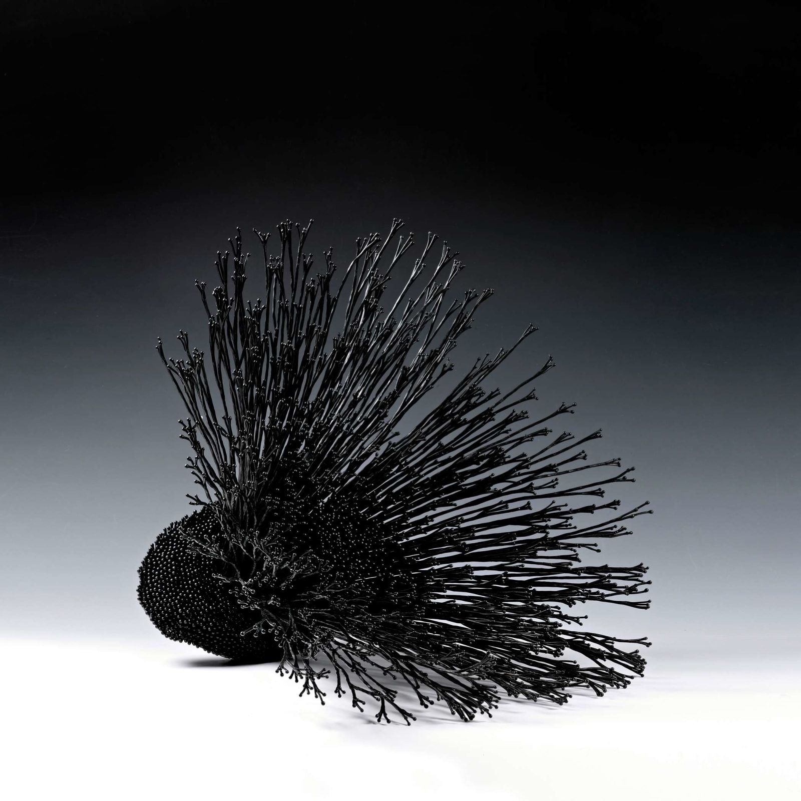 Junko Mori, Propagation Project; Coppiced Wood, Seed, 2014