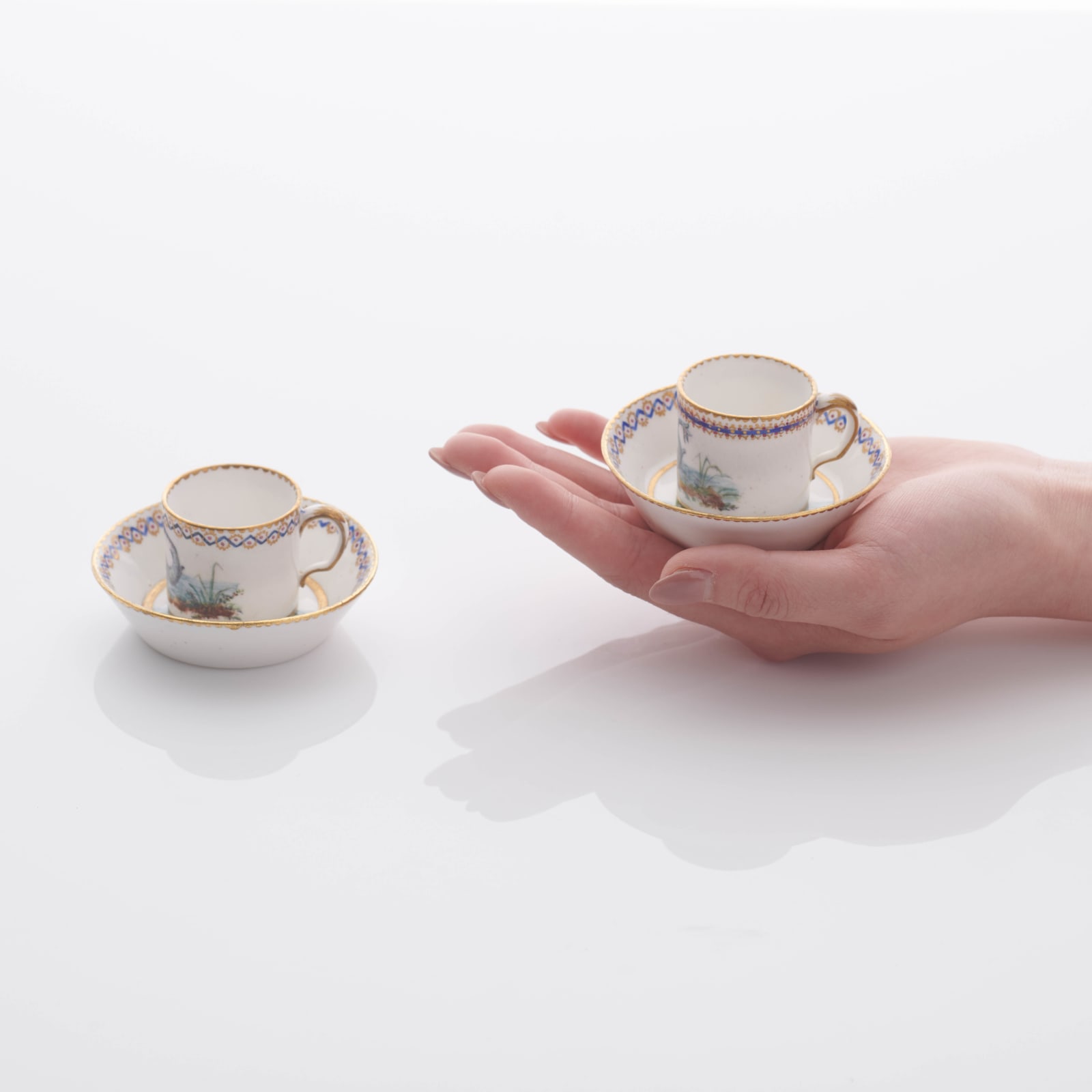 Sèvres Porcelain, A Soft-Paste Sèvres Porcelain Cup & Saucer, 1781
