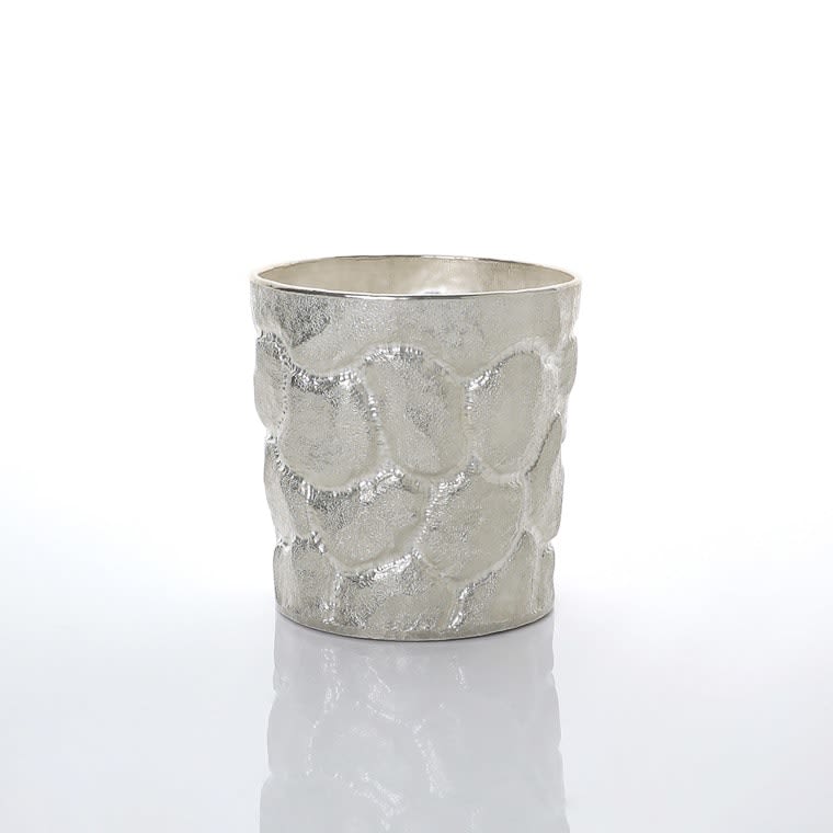 Hiroshi Suzuki, Terra P Beaker, 2013