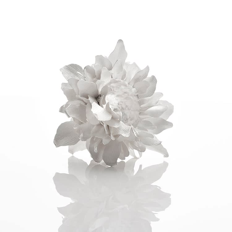 Junko Mori, Silver Organism, Sakura, 2023