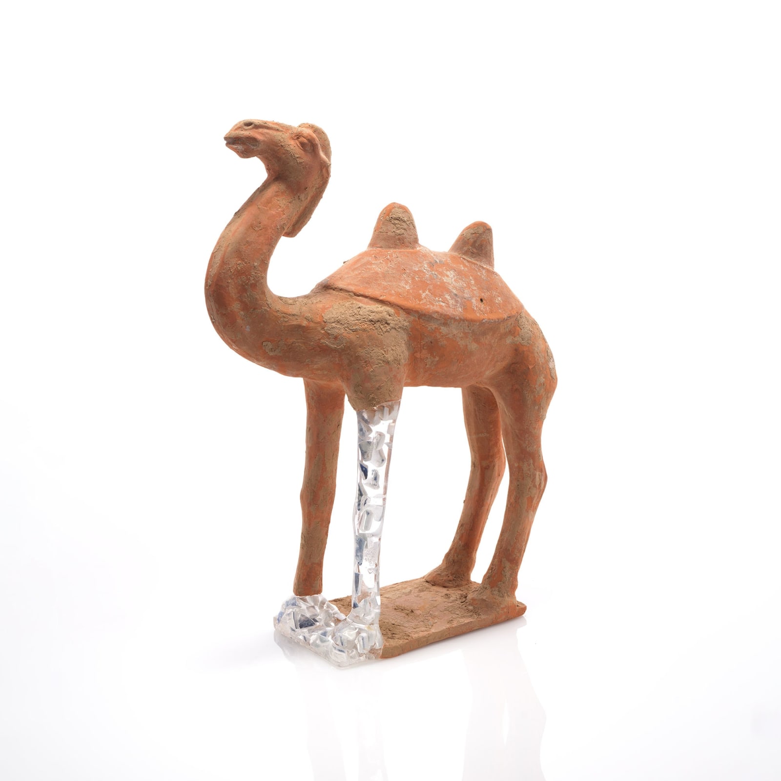 Bouke de Vries, Camel, 2024