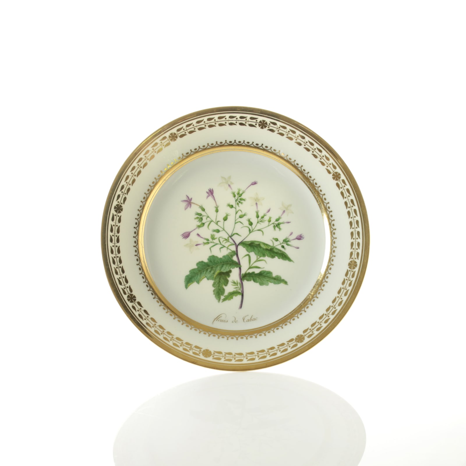 Sèvres Porcelain, 21 Sèvres Plates from the Service des Plantes Comestibles, 1817 & 1825