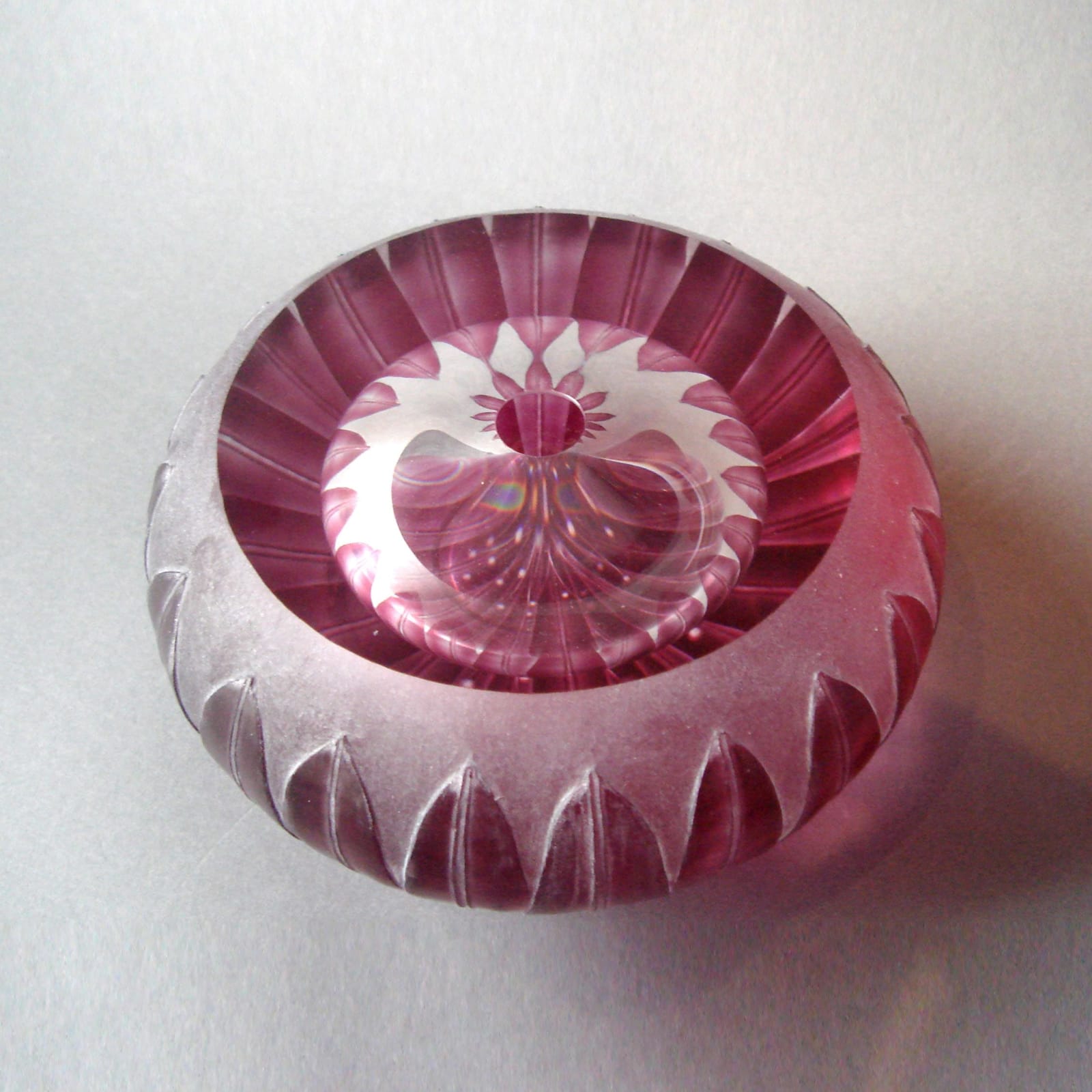 Katharine Coleman, Protea, 2007