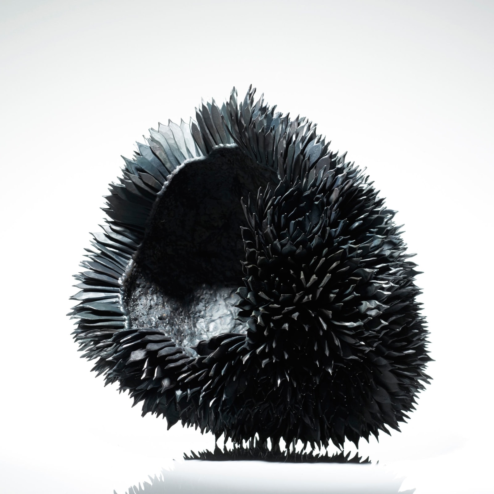 Junko Mori, Propagation Project; Roses, 2016