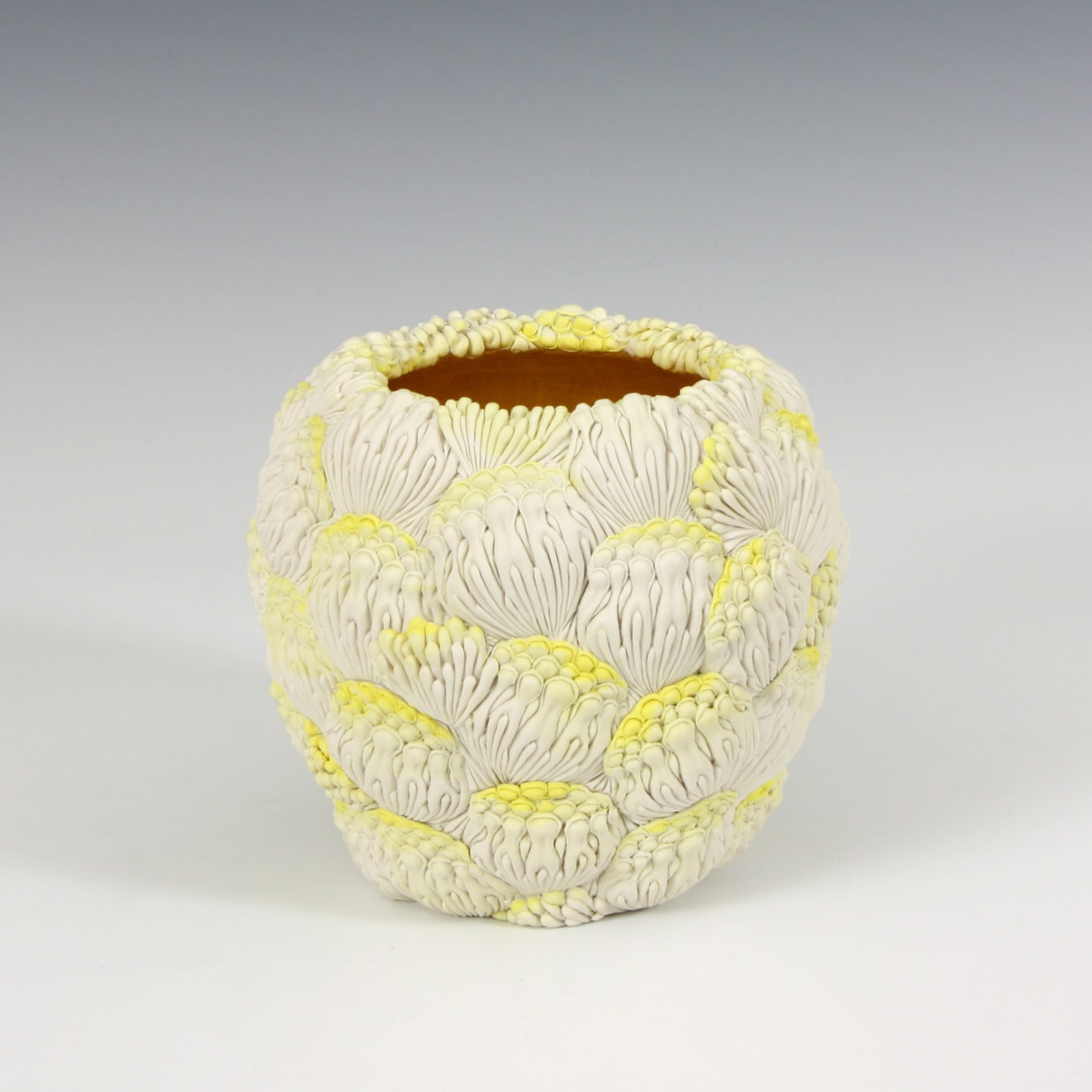 Hitomi Hosono, A Small Yellow Coral Bowl, 2014