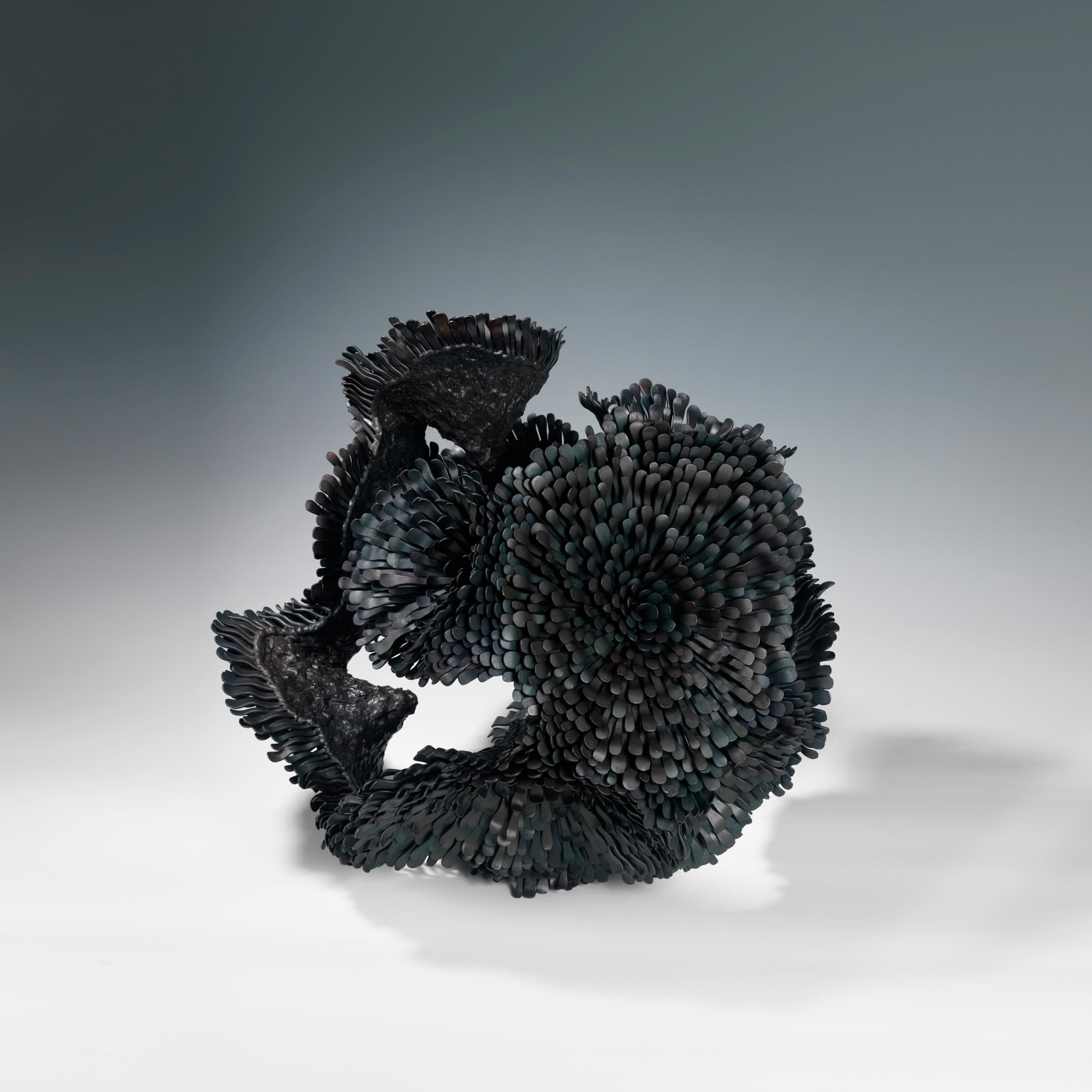 Junko Mori, Propagation Project; Rosularia, 2015