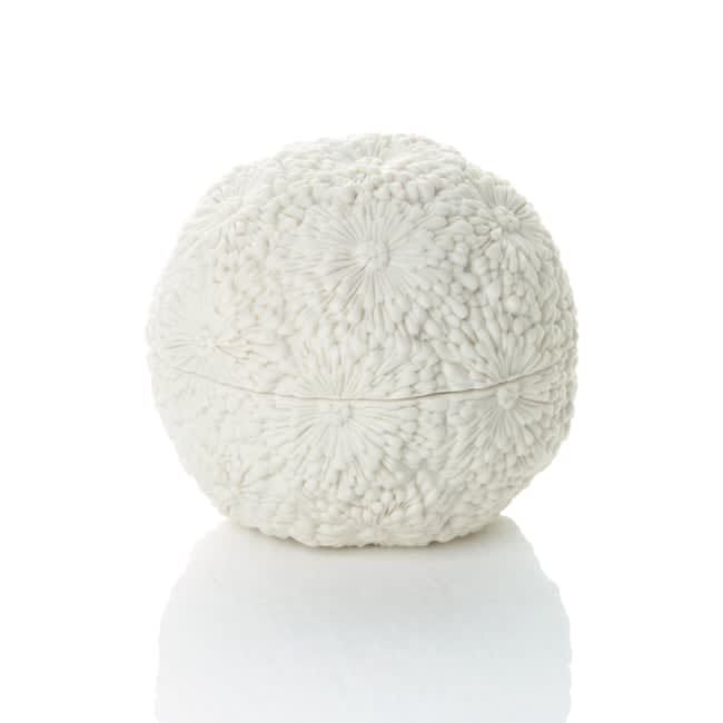 Hitomi Hosono, A Very Small Round Chrysanthemum Box, 2018