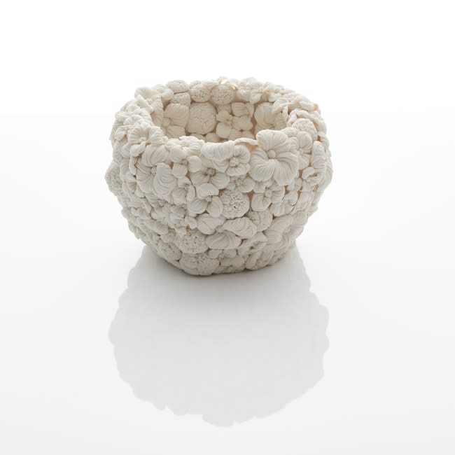Hitomi Hosono, English Daisy Dancing Bowl, 2018