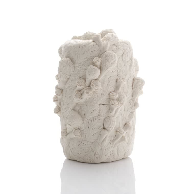 Hitomi Hosono, A Tall Gerbera and Leaves Box, 2022