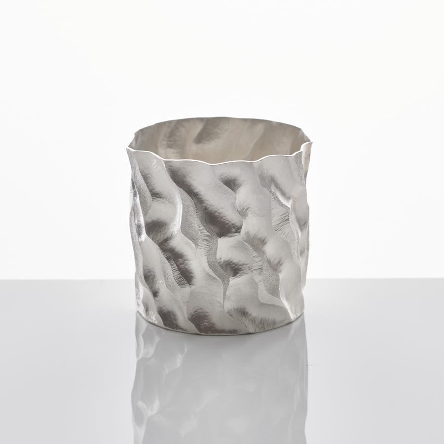 Hiroshi Suzuki, Seni Dom Beaker, 2020