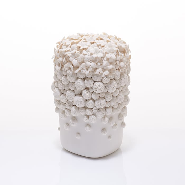 Hitomi Hosono, A Tall Sakura and English Daisy Box, 2020