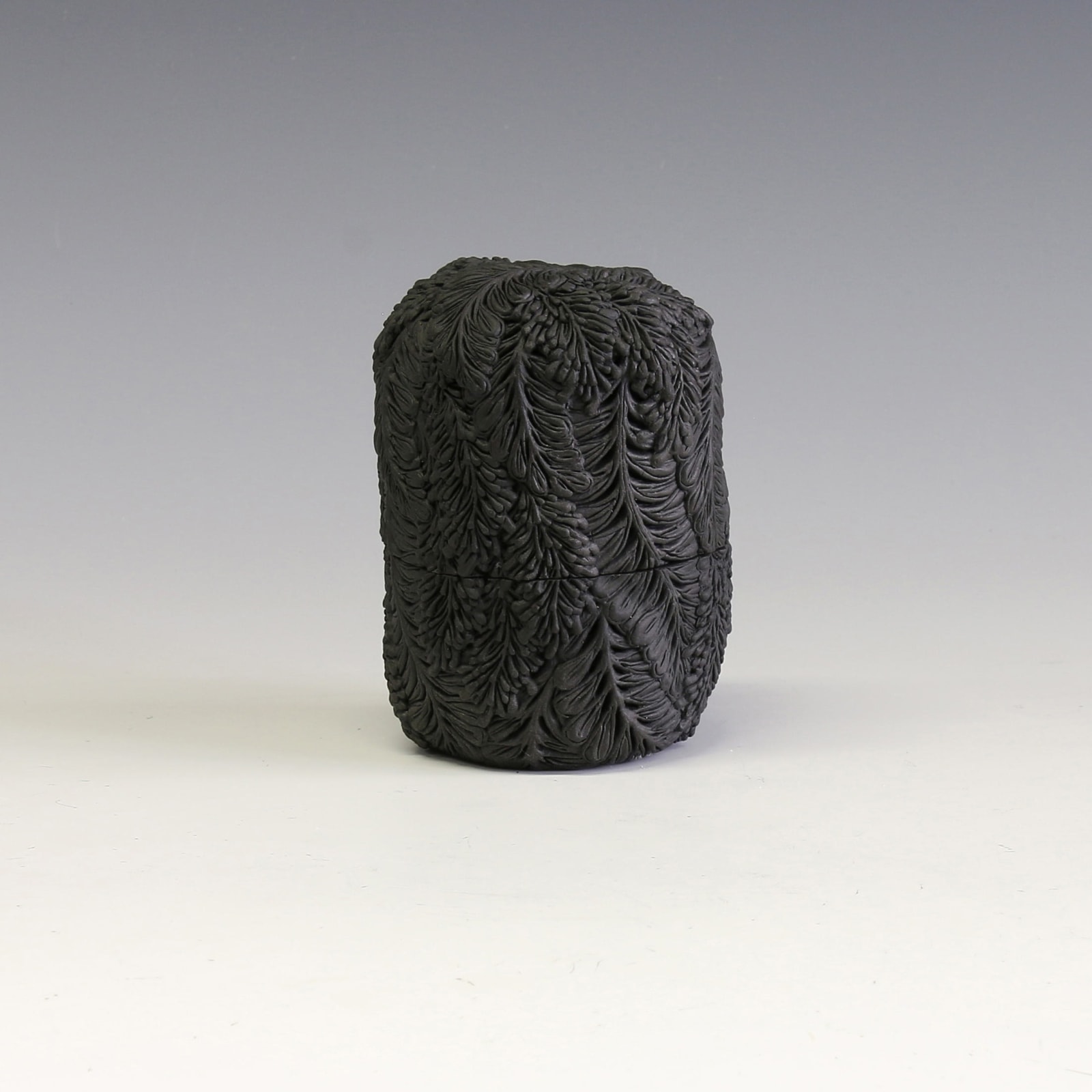 Hitomi Hosono, A Very Small Black Wisteria Box, 2015