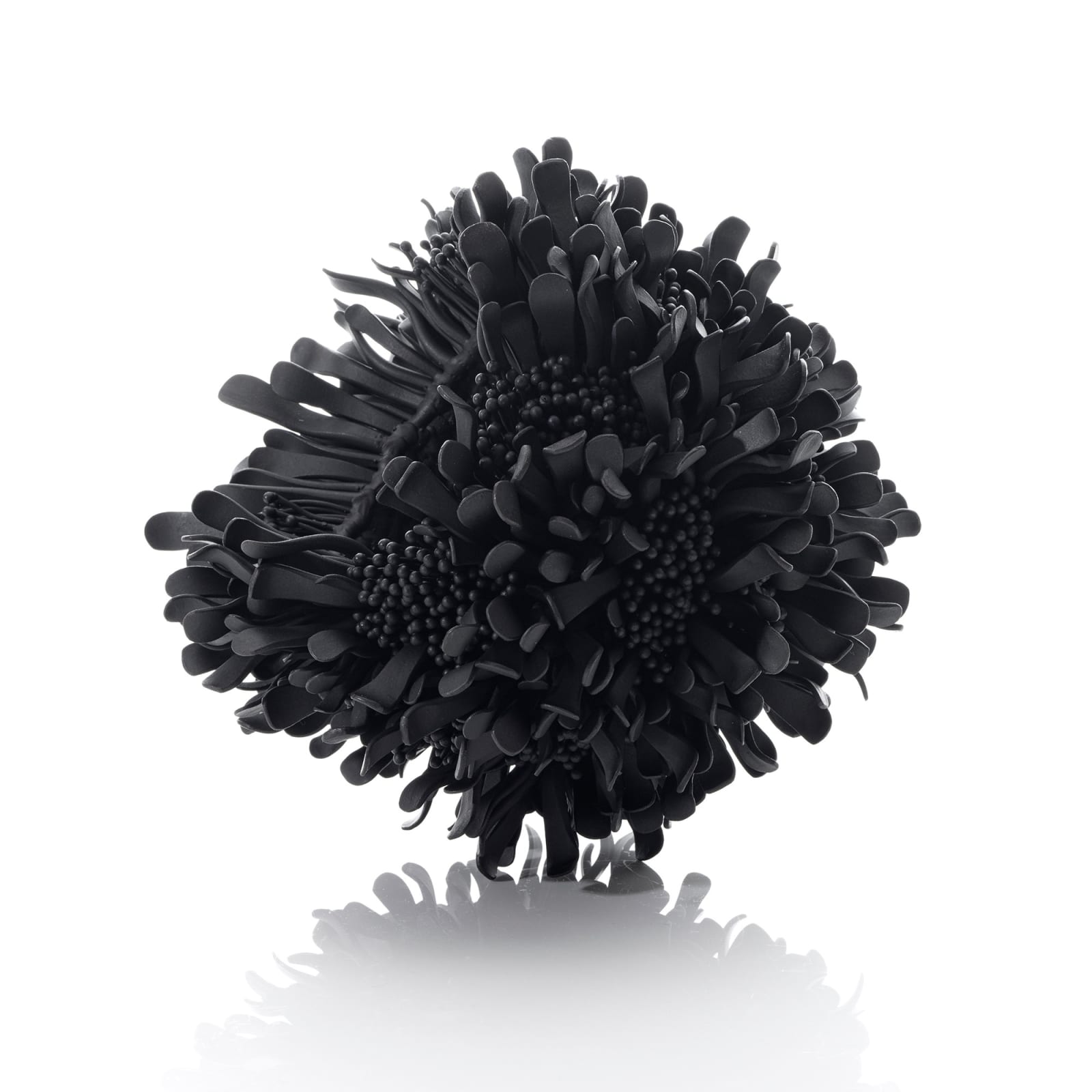 Junko Mori, Propagation Project: Pinecone Dew, 2025